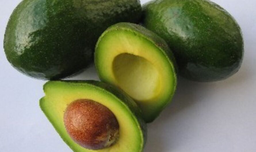 Health Benefits of Avocado: A Superfood for All Ages
