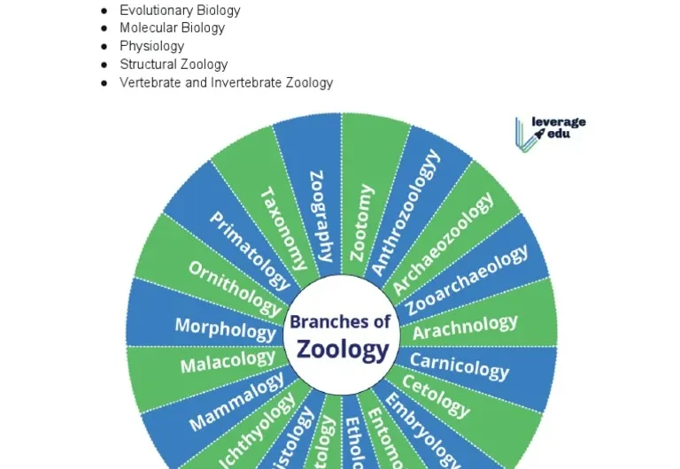 BS Zoology
